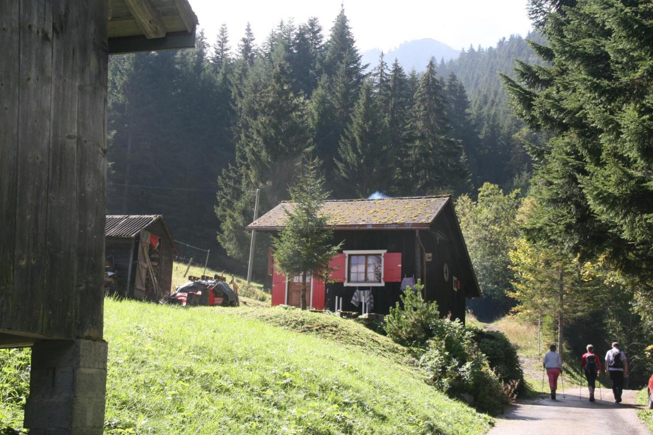 Heerlijke Wandel Of Ski Vakantie In Torgon Portes Du Soleil Eksteriør billede