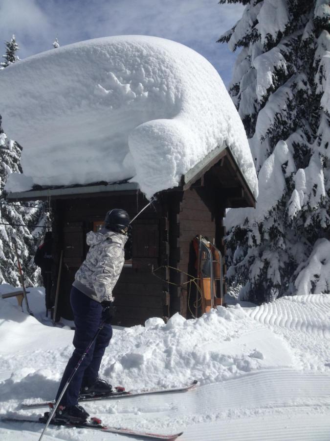 Heerlijke Wandel Of Ski Vakantie In Torgon Portes Du Soleil Eksteriør billede